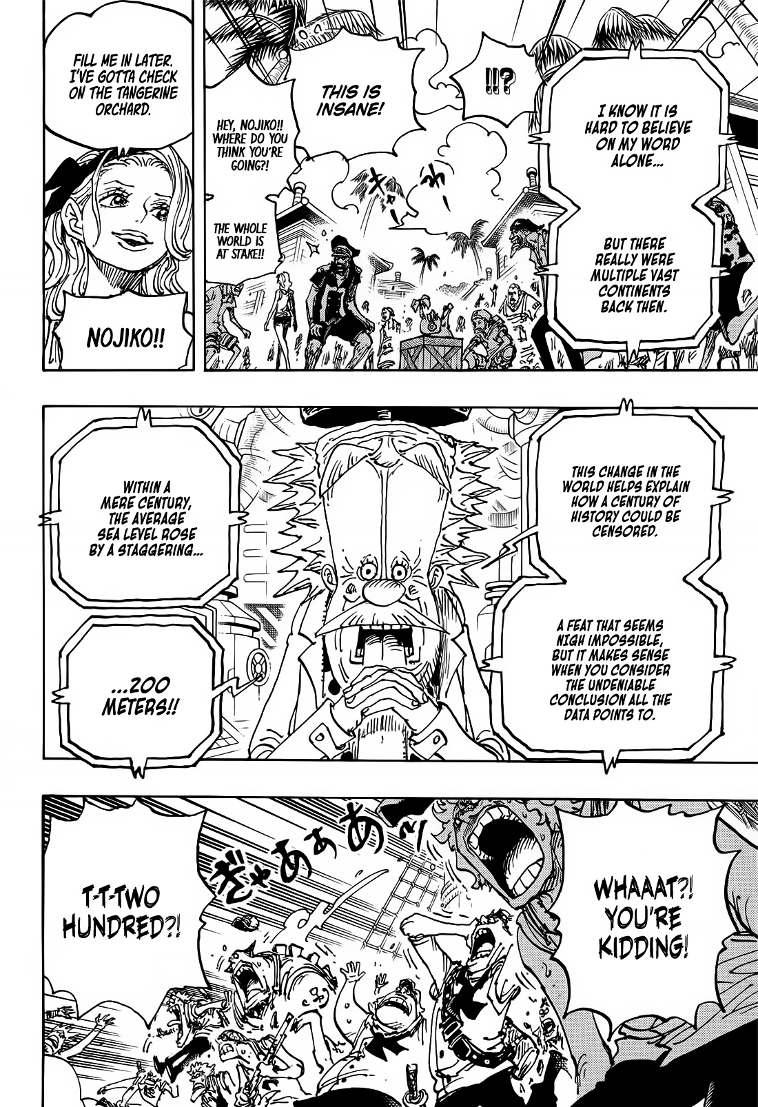 One Piece Chapter 1115 13